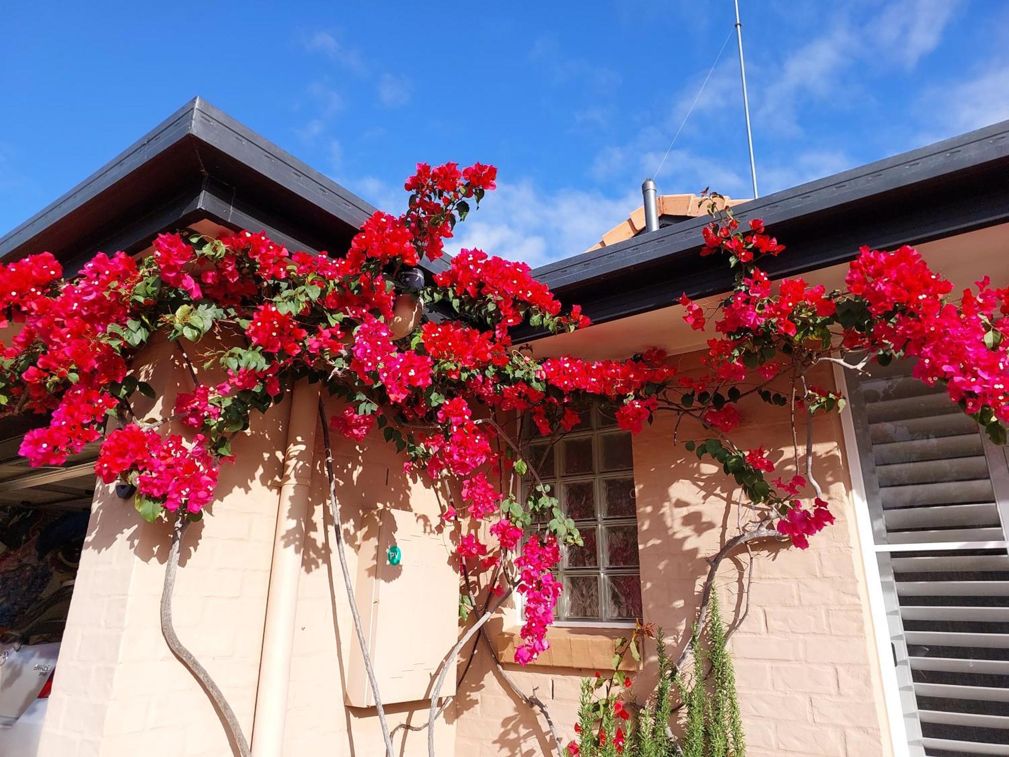Summerhouses Noosaville Εξωτερικό φωτογραφία