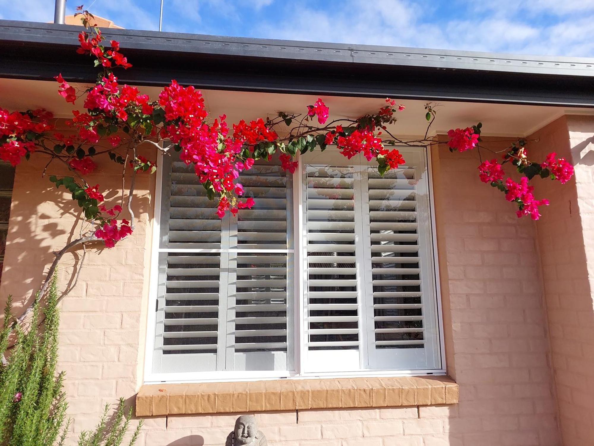 Summerhouses Noosaville Εξωτερικό φωτογραφία